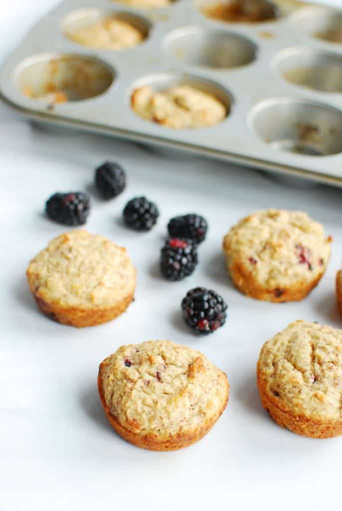 several keto muffins next to a bunch of blackberries several keto muffins next to a bunch of blackberries