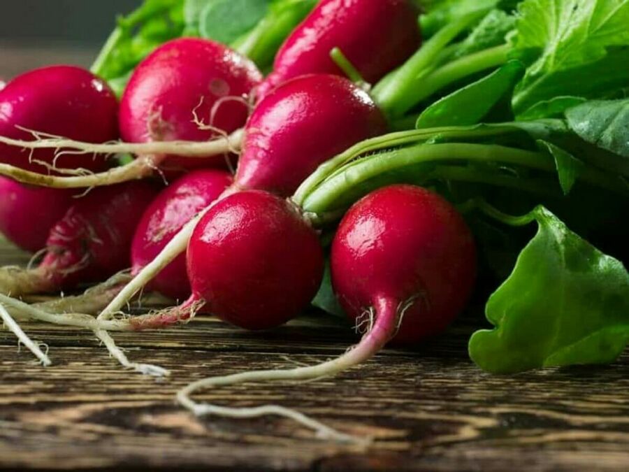 Bunch of fresh radishes on wooden table Bunch of fresh radishes on wooden table