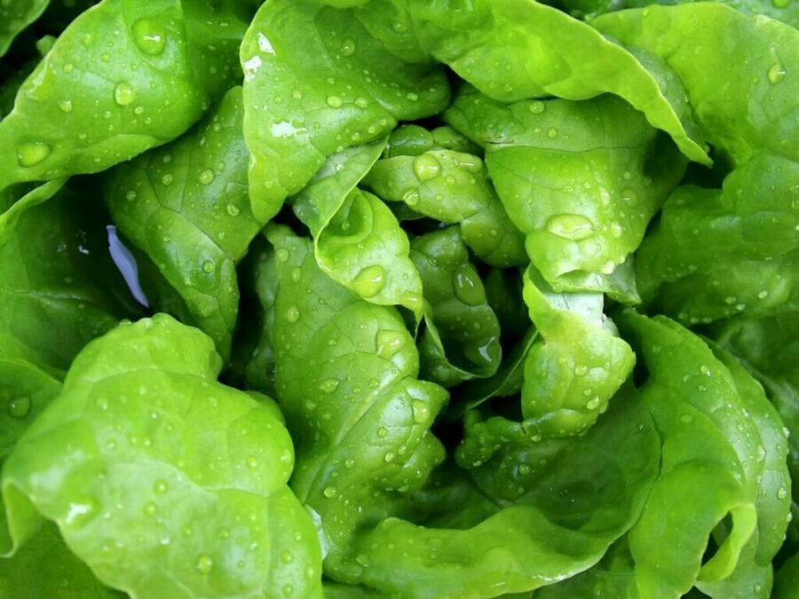 Naked Keto Burger Salad Naked Keto Burger Salad