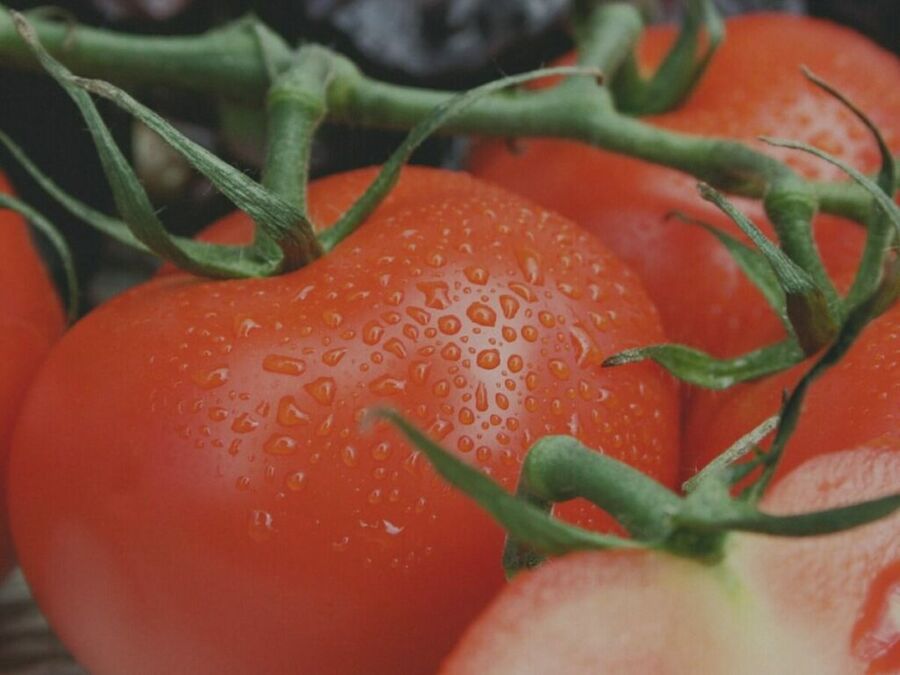 Naked Keto Burger Tomatoes